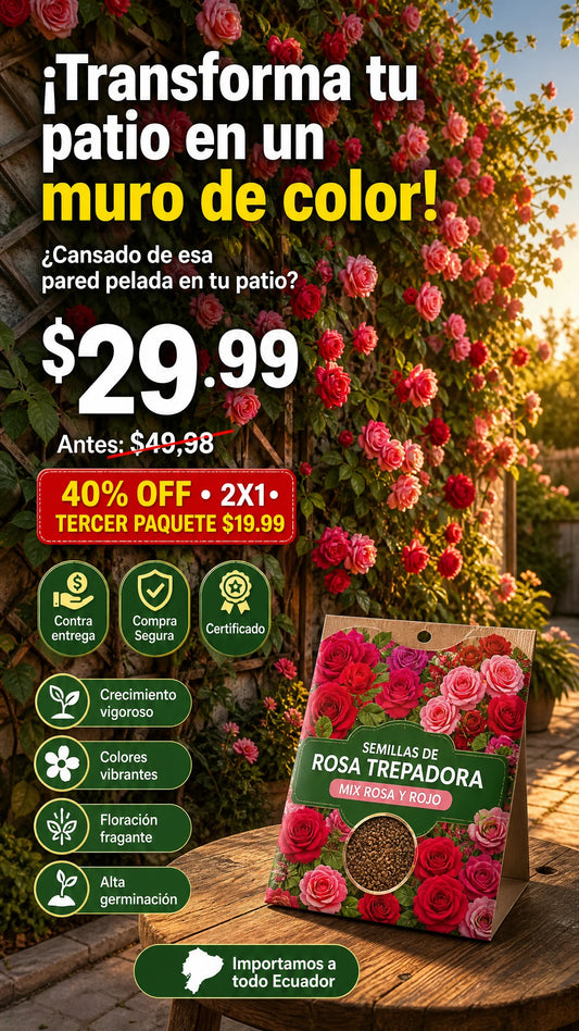 2X1 ROSA TREPADORA transforma tu jardín en un muro de color