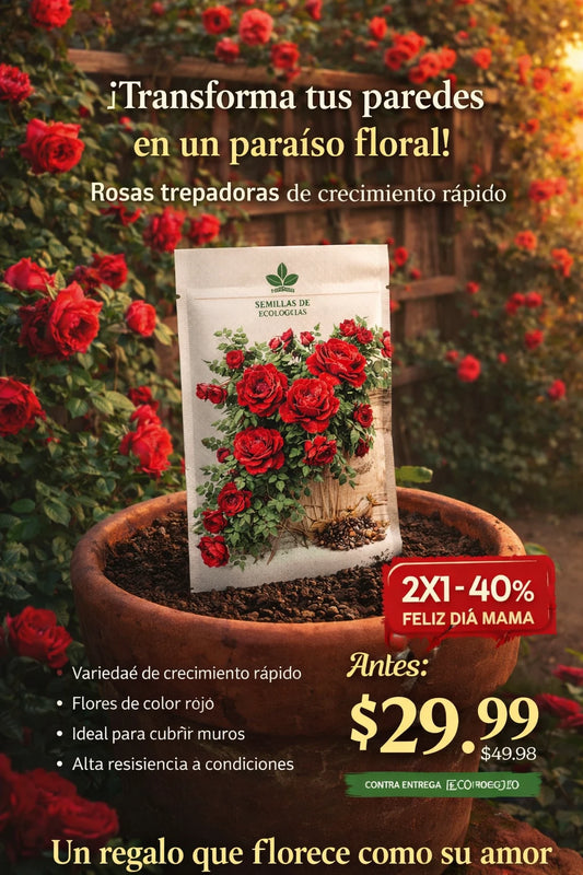 2X1 trepadora dia madre