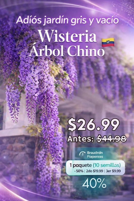 PROMO ESPECIAL Wisteria Árbol Chino – Semillas Decorativas de Floración Colgante