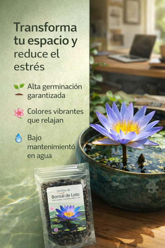 2X1 LOTO DIA MADRES