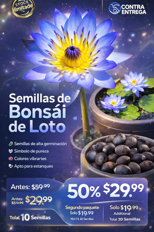 PROMO ESPECIAL Semillas de Bonsái de Loto – Cultiva y Decora 🌿