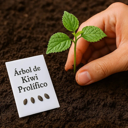 Semillas de Kiwi Prolífico Autopolinizable – Siembra Fácil