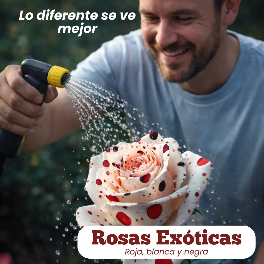 Semillas Rosa Exótica Roja, Blanca y Negra 🏡 Esencia Tricolor del Amor