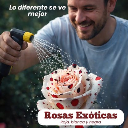 Semillas Rosa Exótica Roja, Blanca y Negra 🏡 Esencia Tricolor del Amor