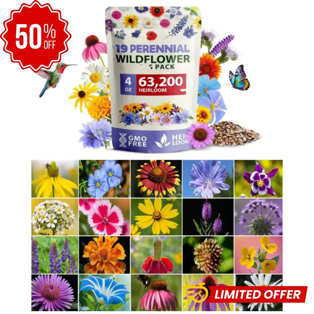Mezcla de semillas de flores silvestres Perennes de primera calidad