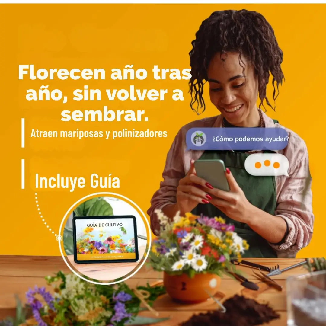 Mezcla de semillas de flores silvestres Perennes de primera calidad