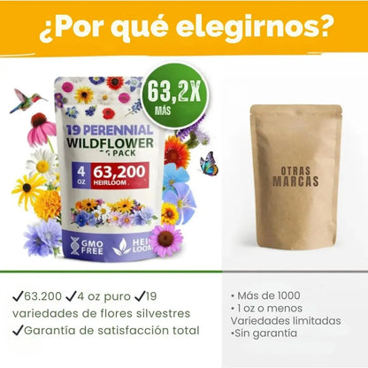 Mezcla de semillas de flores silvestres Perennes de primera calidad