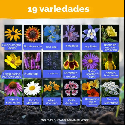 Mezcla de semillas de flores silvestres Perennes de primera calidad
